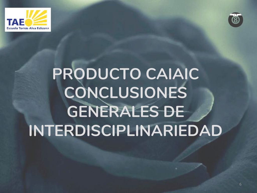 PRODUCTO CAIAIC CONCLUSIONES GENERALES DE INTERDISCIPLINARIEDAD