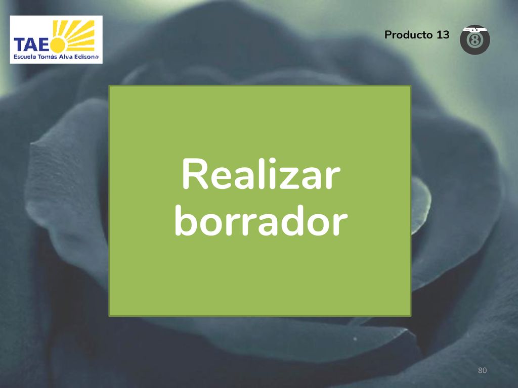 Producto 13 Realizar borrador