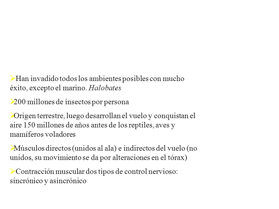 Han invadido todos los ambientes posibles con mucho éxito, excepto el marino. Halobates