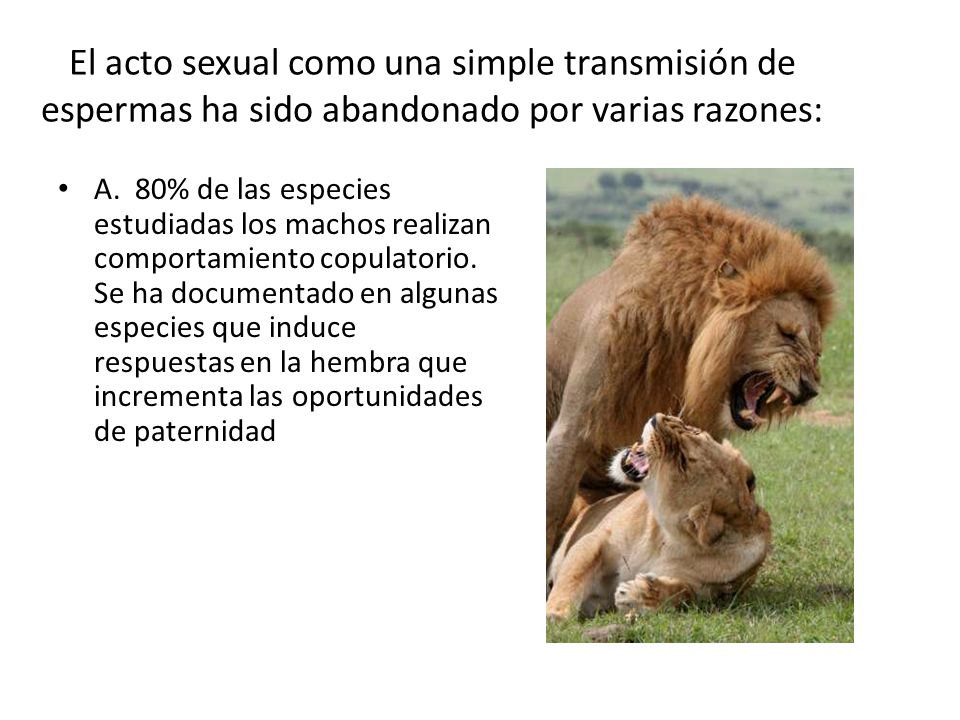 El acto sexual como una simple transmisión de espermas ha sido abandonado por varias razones: