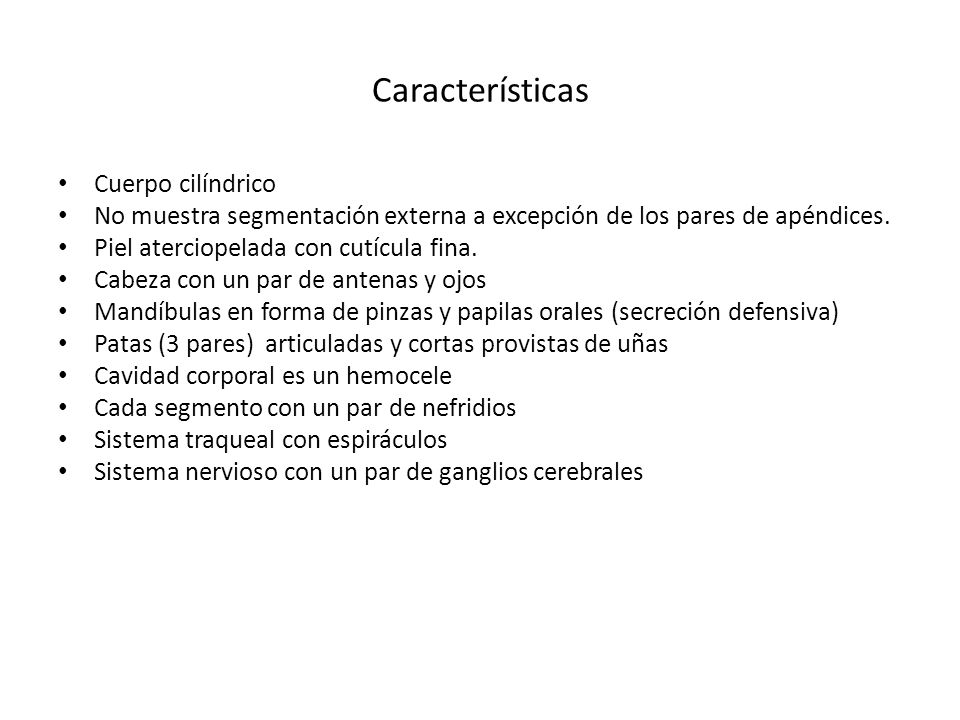 Características Cuerpo cilíndrico