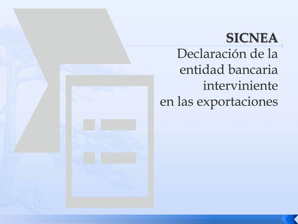 SICNEA Declaración de la entidad bancaria interviniente en las exportaciones