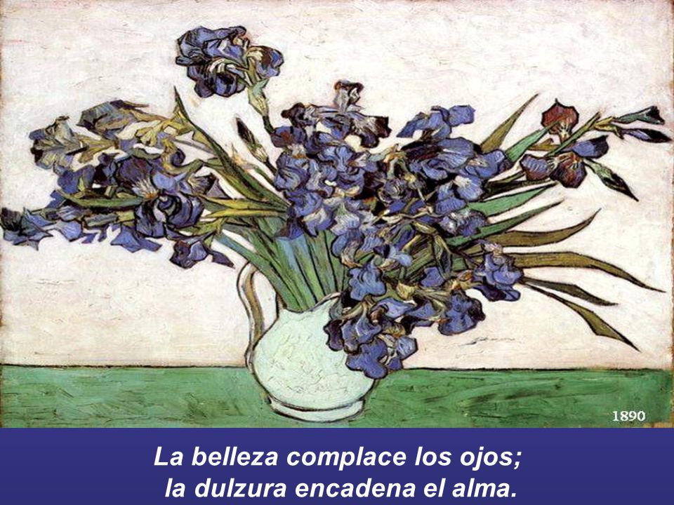La belleza complace los ojos; la dulzura encadena el alma.