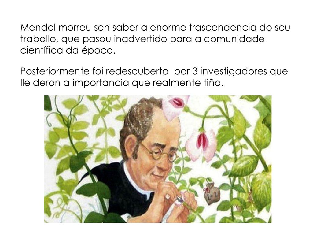 Mendel morreu sen saber a enorme trascendencia do seu traballo, que pasou inadvertido para a comunidade científica da época.