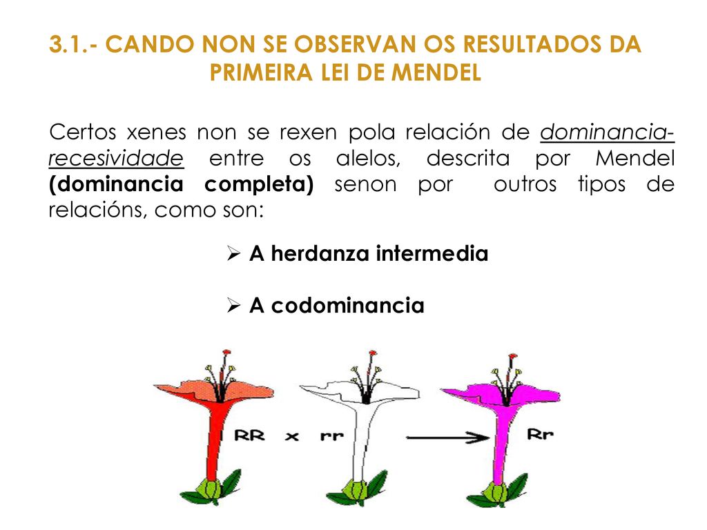 3.1.- CANDO NON SE OBSERVAN OS RESULTADOS DA PRIMEIRA LEI DE MENDEL