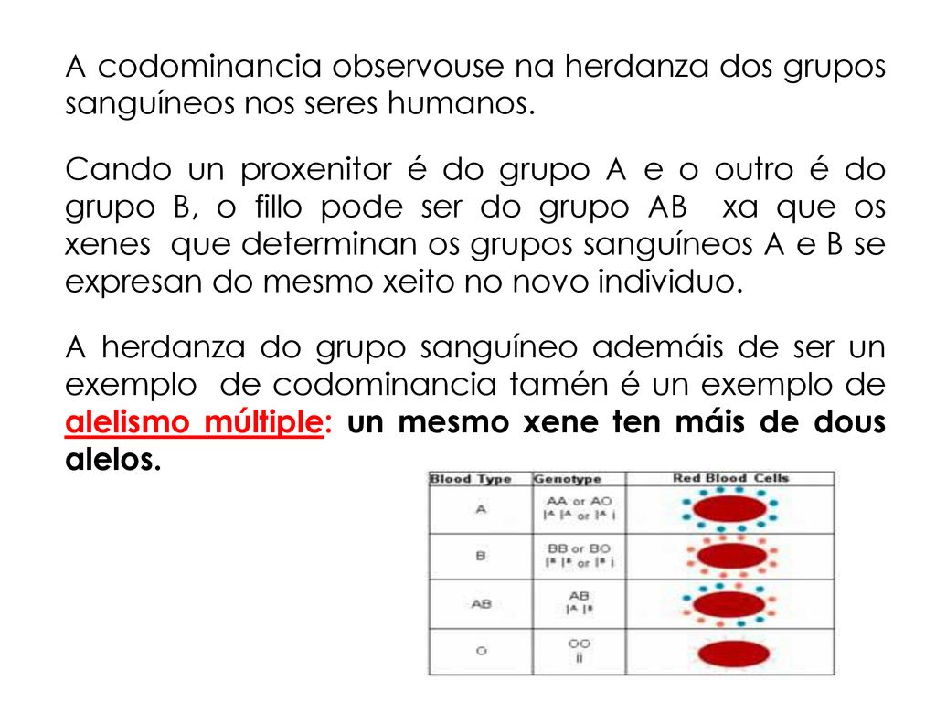 A codominancia observouse na herdanza dos grupos sanguíneos nos seres humanos.