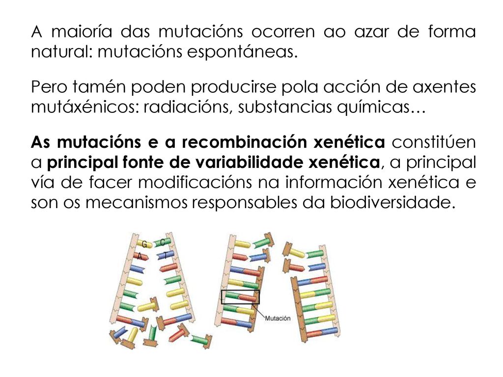 A maioría das mutacións ocorren ao azar de forma natural: mutacións espontáneas.