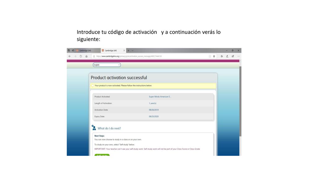 Introduce tu código de activación y a continuación verás lo siguiente: