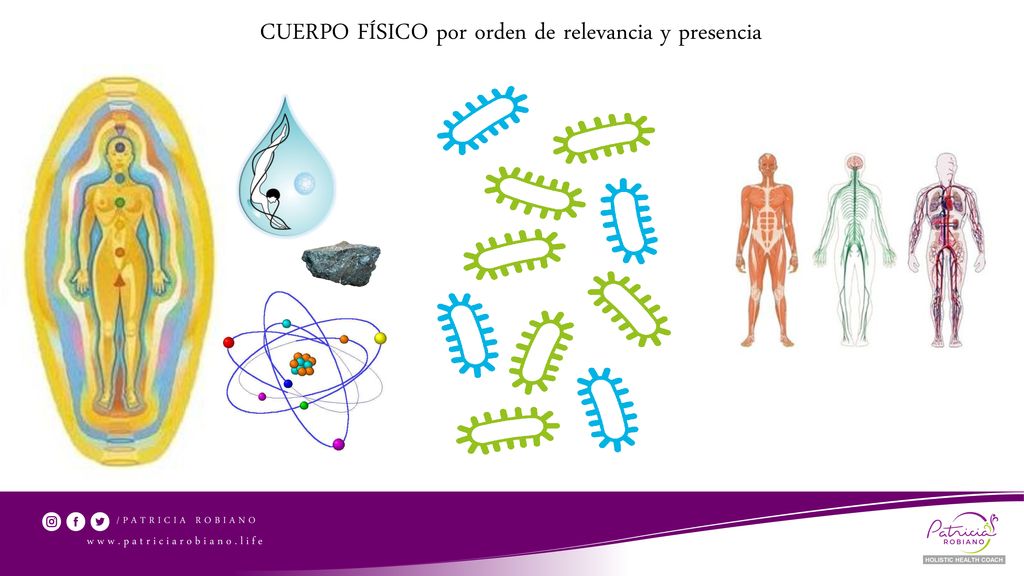 CUERPO FÍSICO por orden de relevancia y presencia