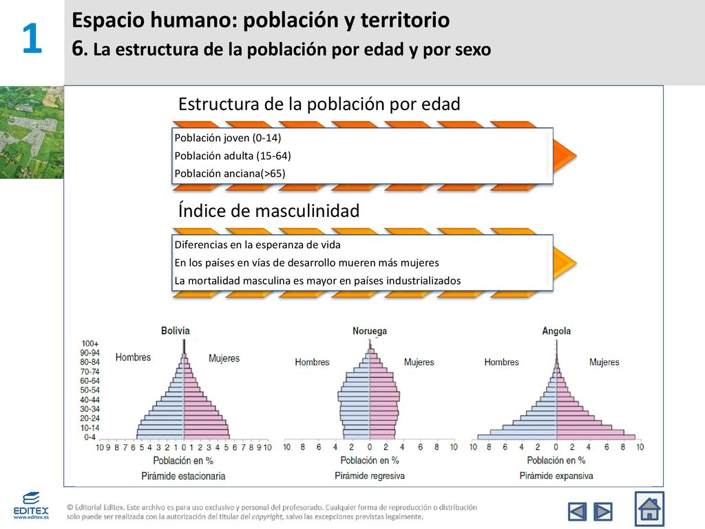 1 Espacio humano: población y territorio 6. La estructura de la población por edad y por sexo. Estructura de la población por edad.