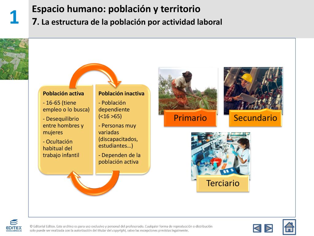 1 Espacio humano: población y territorio 7. La estructura de la población por actividad laboral. Población activa.