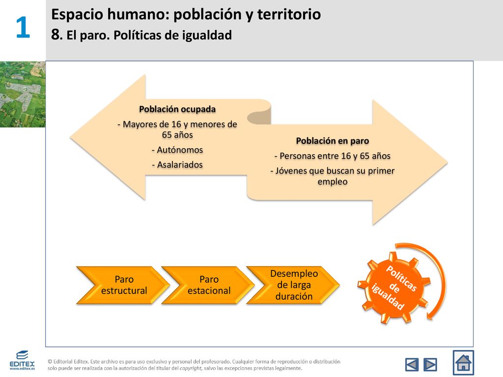 1 Espacio humano: población y territorio 8. El paro. Políticas de igualdad. Población ocupada. - Mayores de 16 y menores de 65 años.