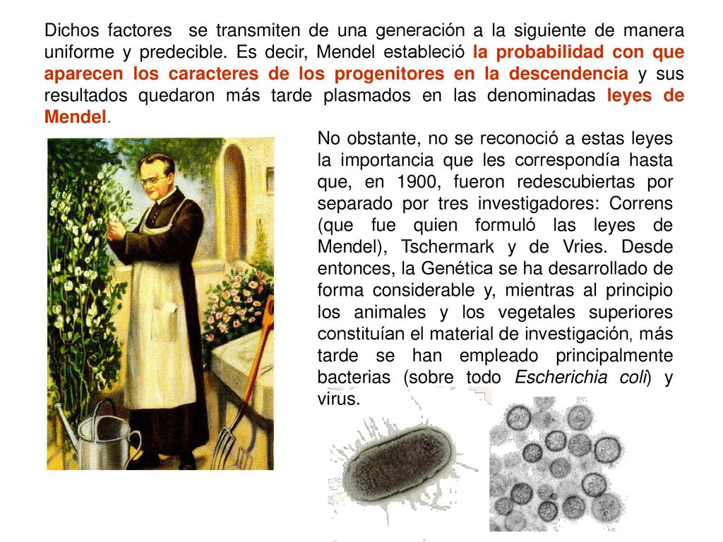 Dichos factores se transmiten de una generación a la siguiente de manera uniforme y predecible. Es decir, Mendel estableció la probabilidad con que aparecen los caracteres de los progenitores en la descendencia y sus resultados quedaron más tarde plasmados en las denominadas leyes de Mendel.