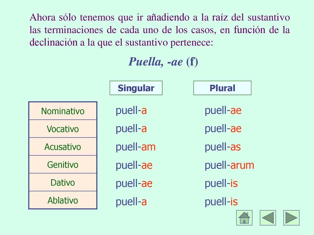 Ahora sólo tenemos que ir añadiendo a la raíz del sustantivo las terminaciones de cada uno de los casos, en función de la declinación a la que el sustantivo pertenece: