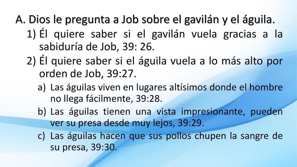 Dios le pregunta a Job sobre el gavilán y el águila.