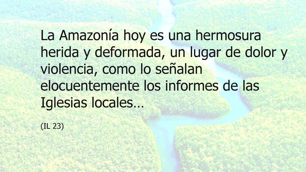 La Amazonía hoy es una hermosura herida y deformada, un lugar de dolor y violencia, como lo señalan elocuentemente los informes de las Iglesias locales…