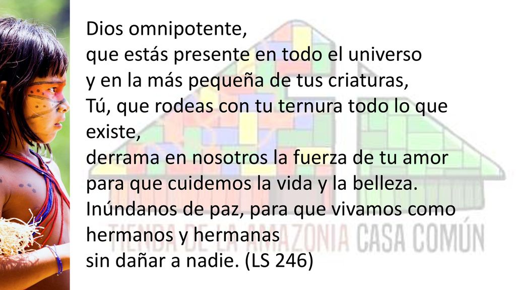 Dios omnipotente, que estás presente en todo el universo y en la más pequeña de tus criaturas, Tú, que rodeas con tu ternura todo lo que existe, derrama en nosotros la fuerza de tu amor para que cuidemos la vida y la belleza.