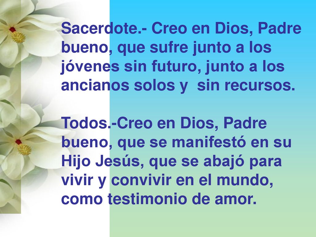 Sacerdote.- Creo en Dios, Padre bueno, que sufre junto a los jóvenes sin futuro, junto a los ancianos solos y sin recursos.