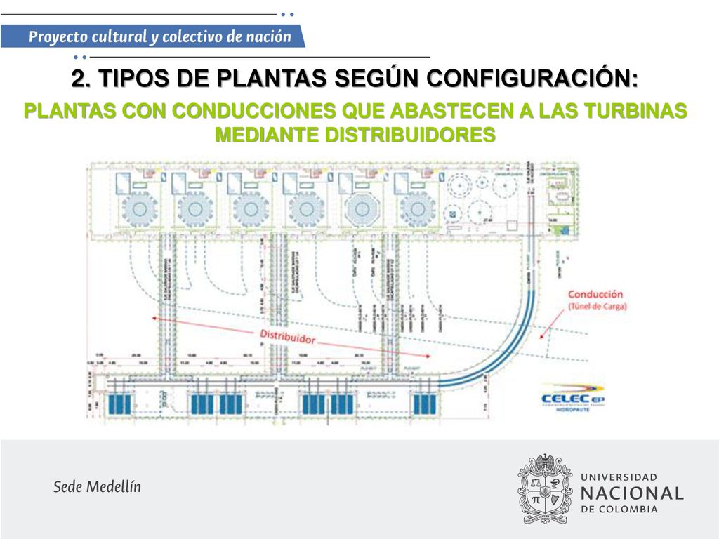 2. TIPOS DE PLANTAS SEGÚN CONFIGURACIÓN: