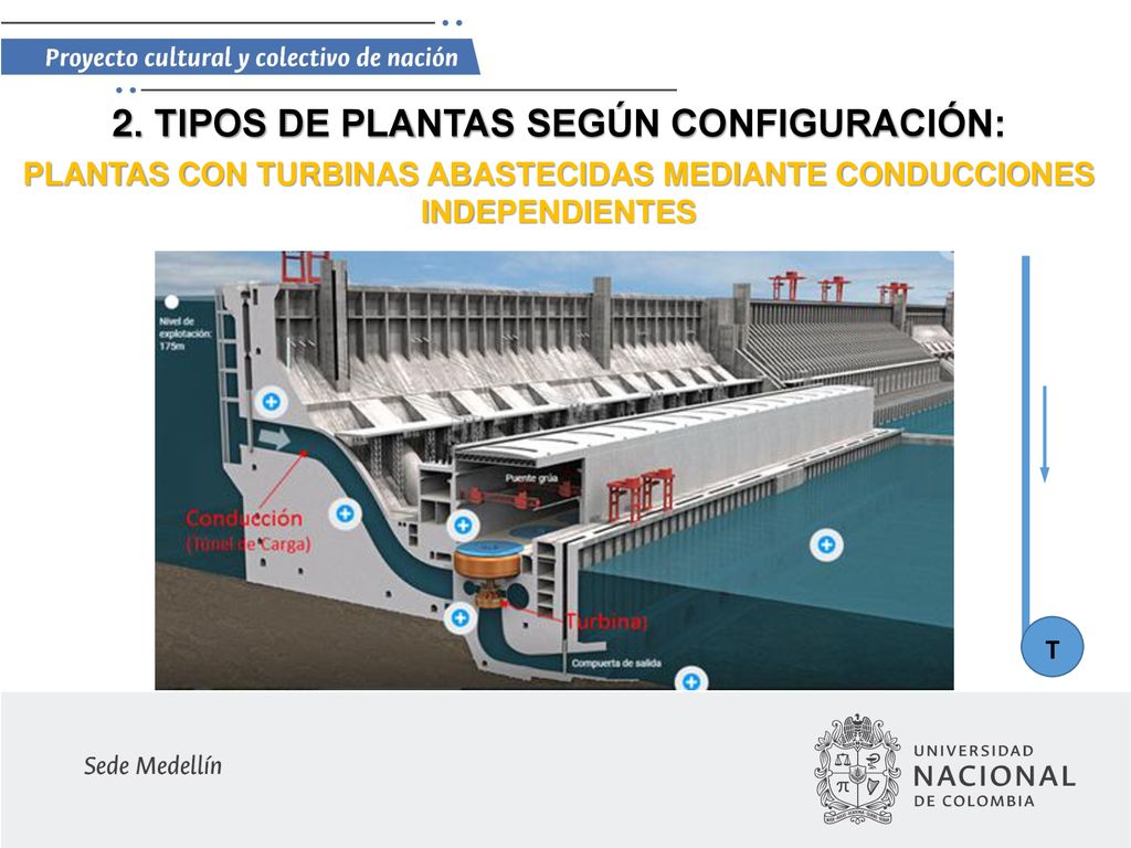 2. TIPOS DE PLANTAS SEGÚN CONFIGURACIÓN:
