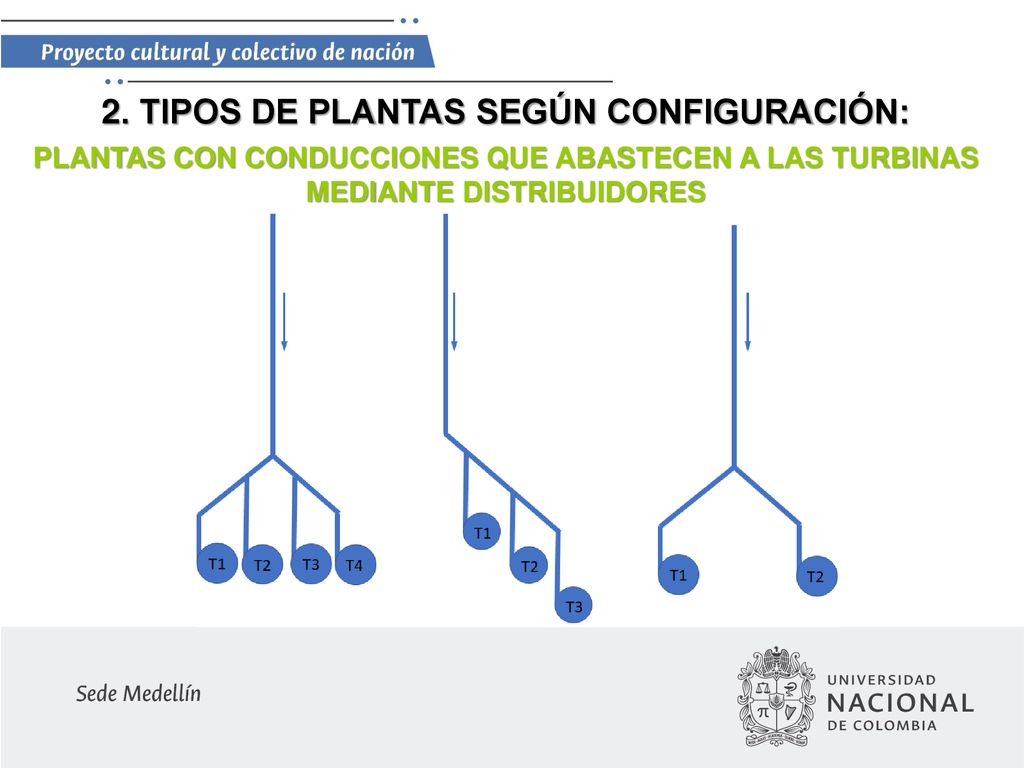 2. TIPOS DE PLANTAS SEGÚN CONFIGURACIÓN: