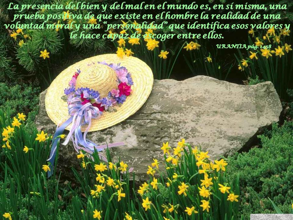 La presencia del bien y del mal en el mundo es, en sí misma, una prueba positiva de que existe en el hombre la realidad de una voluntad moral y una personalidad que identifica esos valores y le hace capaz de escoger entre ellos.