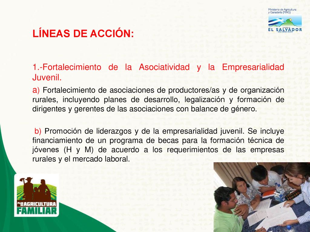 LÍNEAS DE ACCIÓN: 1.-Fortalecimiento de la Asociatividad y la Empresarialidad Juvenil.