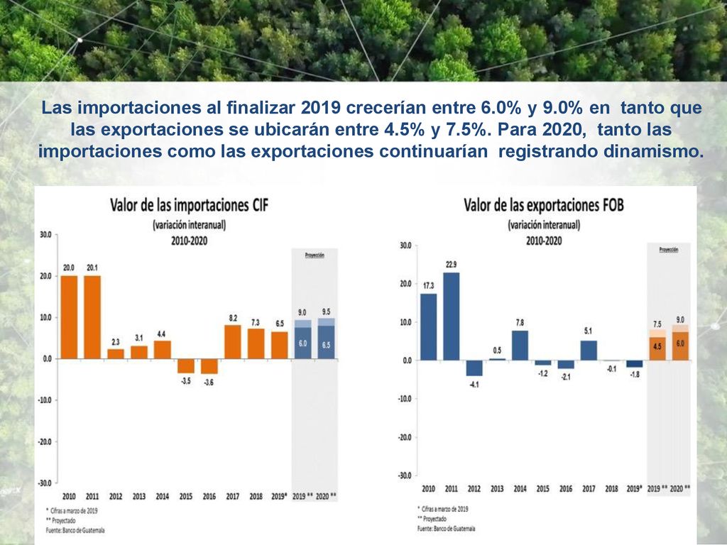 Las importaciones al finalizar 2019 crecerían entre 6. 0% y 9