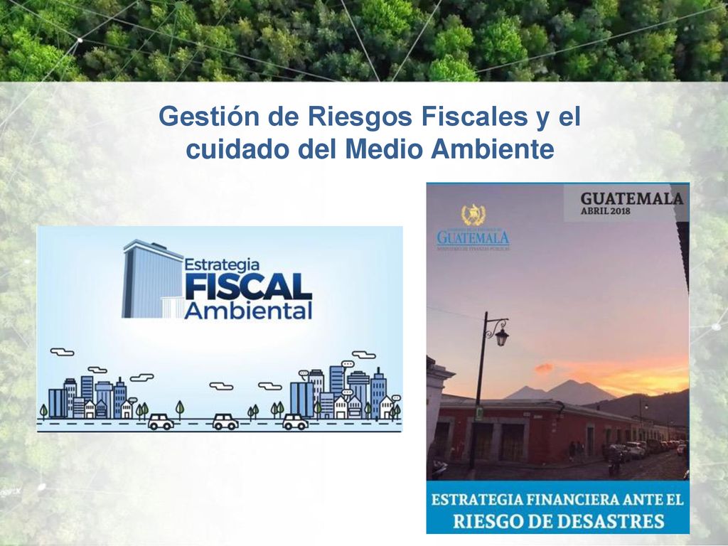 Gestión de Riesgos Fiscales y el cuidado del Medio Ambiente