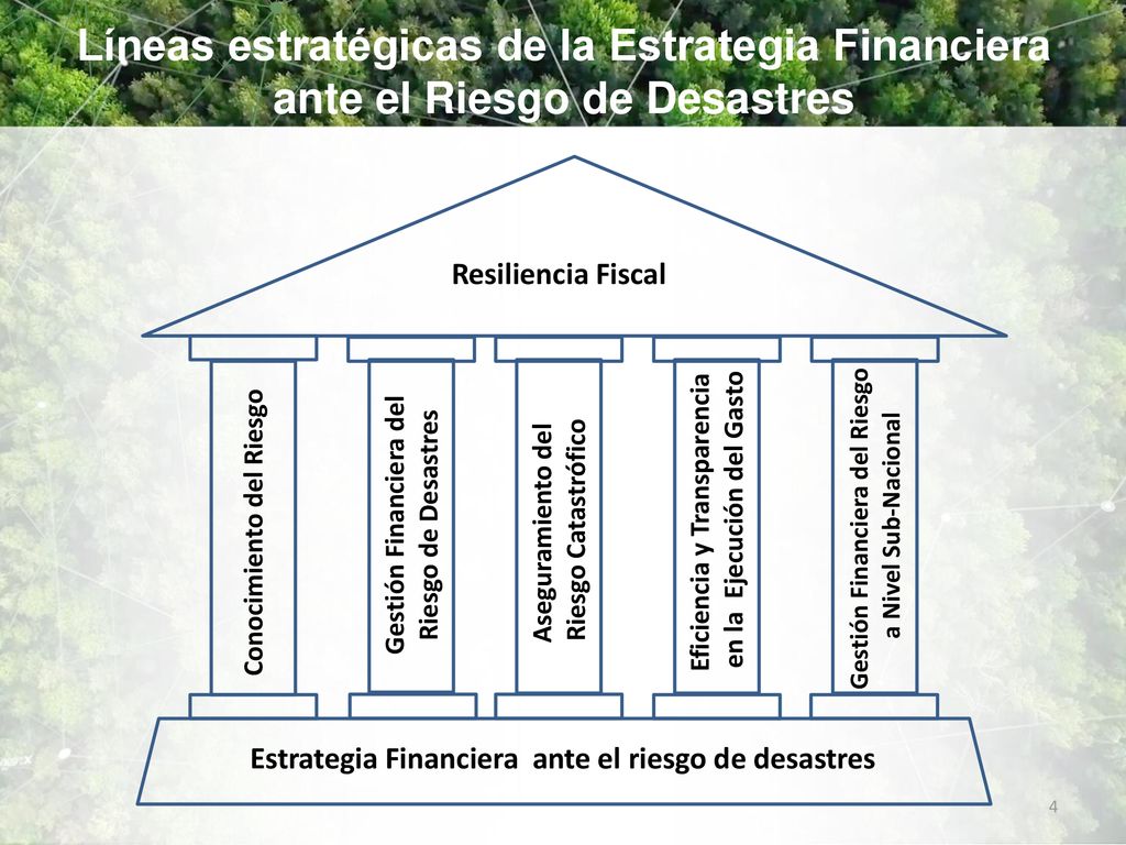 Líneas estratégicas de la Estrategia Financiera ante el Riesgo de Desastres