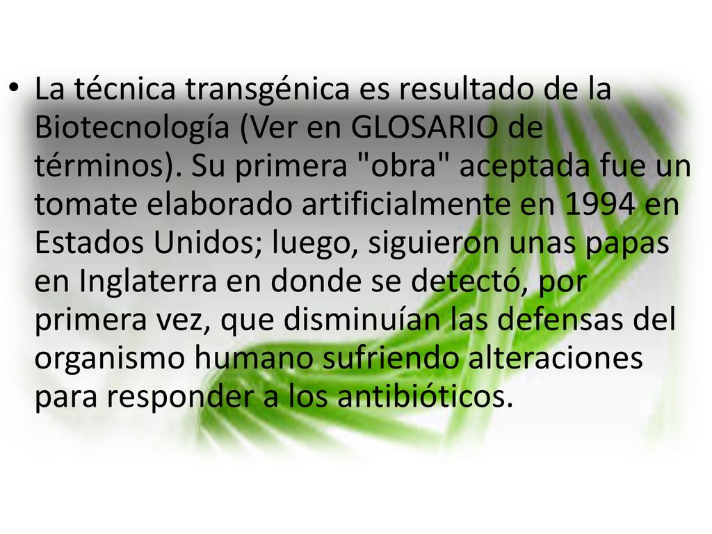 La técnica transgénica es resultado de la Biotecnología (Ver en GLOSARIO de términos). Su primera obra aceptada fue un tomate elaborado artificialmente en 1994 en Estados Unidos; luego, siguieron unas papas en Inglaterra en donde se detectó, por primera vez, que disminuían las defensas del organismo humano sufriendo alteraciones para responder a los antibióticos.