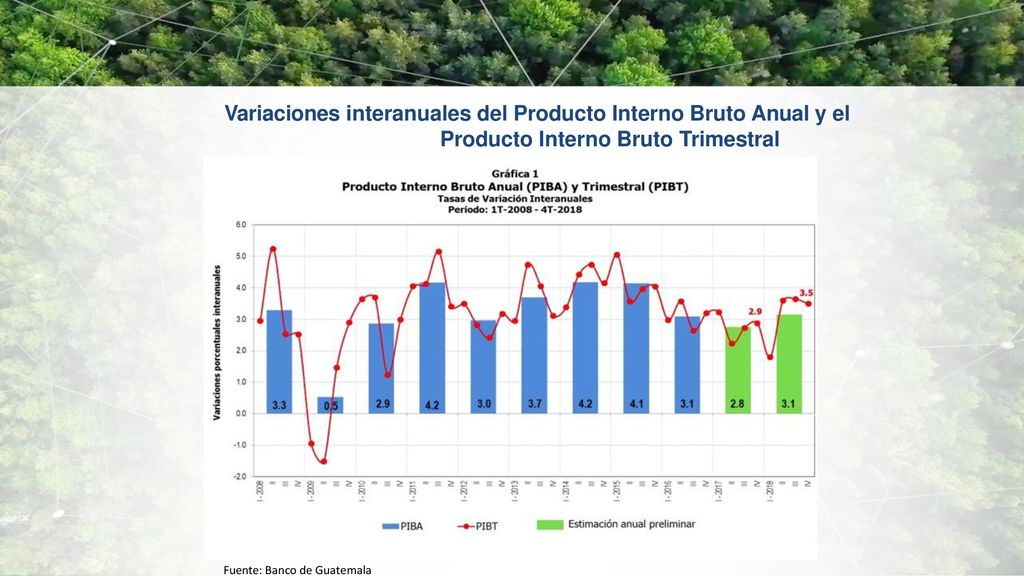 Variaciones interanuales del Producto Interno Bruto Anual y el Producto Interno Bruto Trimestral