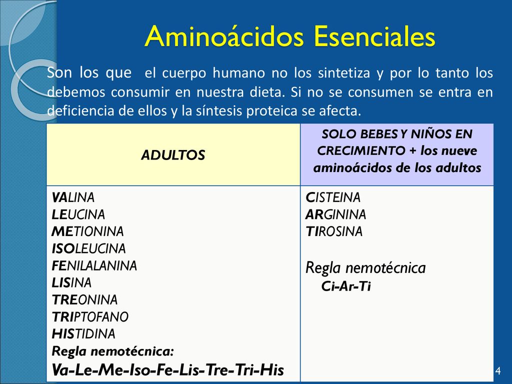 Aminoacidos Y Peptidos Semana Ppt Descargar 0513