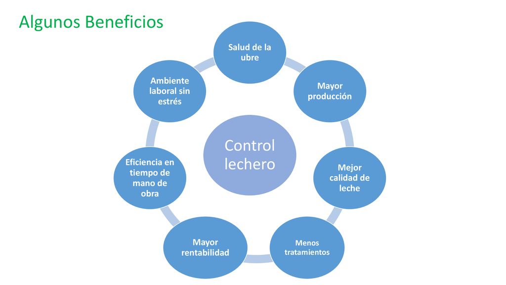Eficiencia en tiempo de mano de obra Ambiente laboral sin estrés