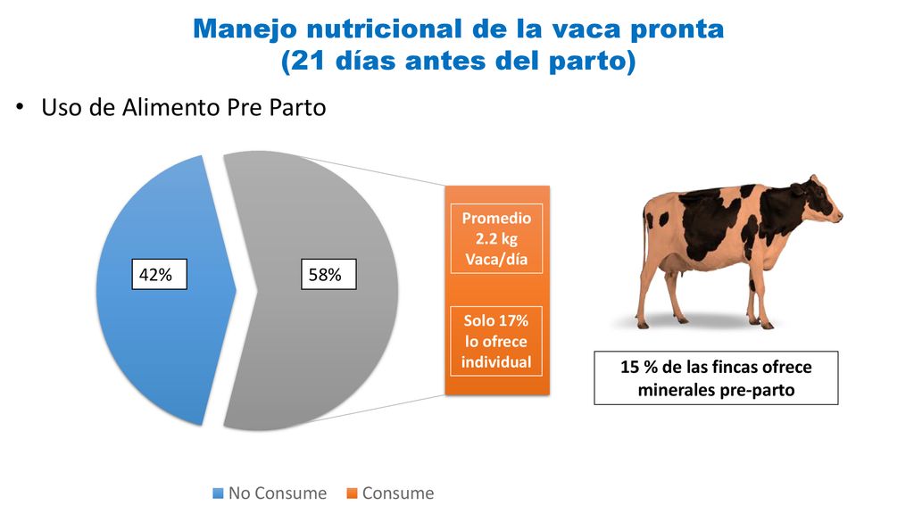 Manejo nutricional de la vaca pronta (21 días antes del parto)