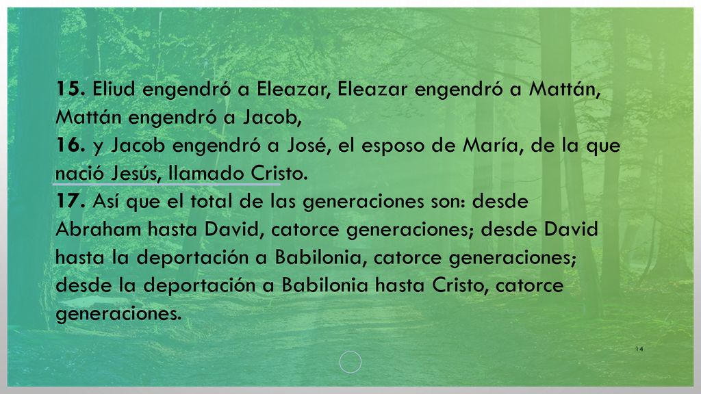 15. Eliud engendró a Eleazar, Eleazar engendró a Mattán, Mattán engendró a Jacob,