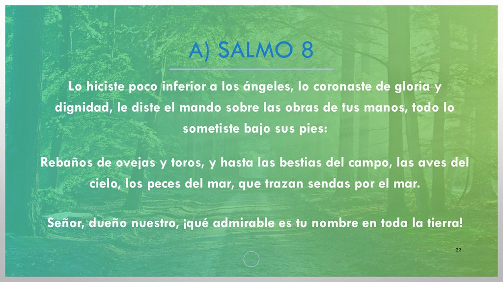 Señor, dueño nuestro, ¡qué admirable es tu nombre en toda la tierra!