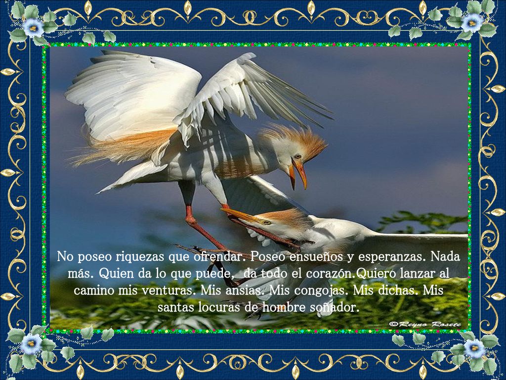 No poseo riquezas que ofrendar. Poseo ensueños y esperanzas. Nada más