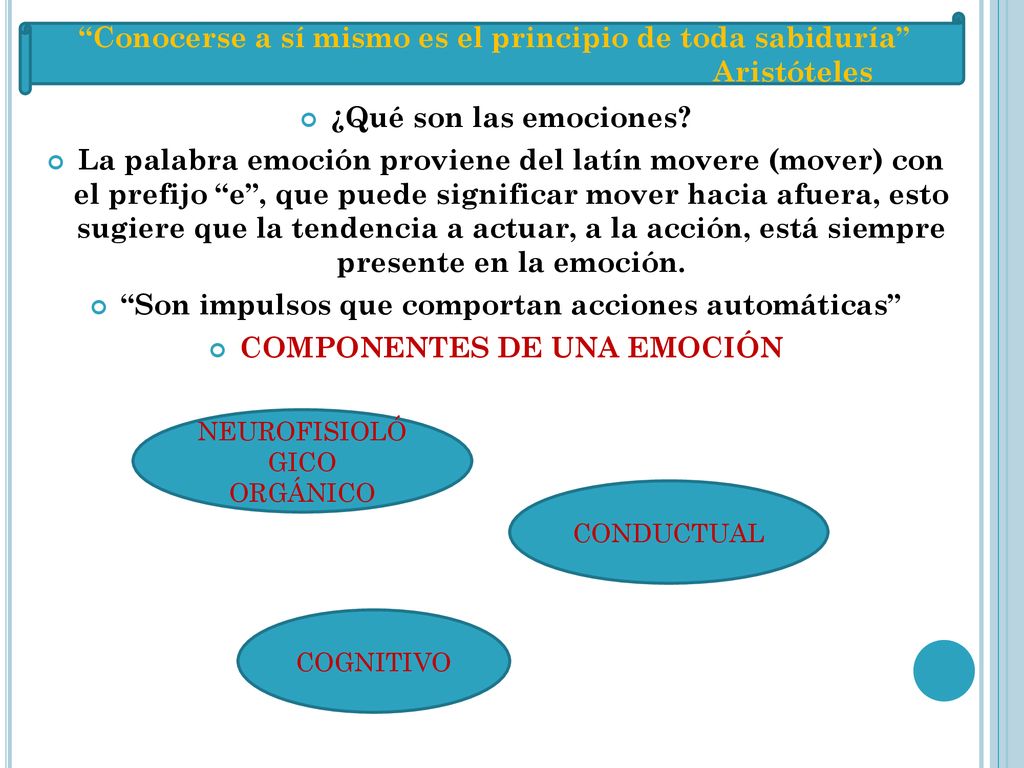 Conocerse a sí mismo es el principio de toda sabiduría Aristóteles