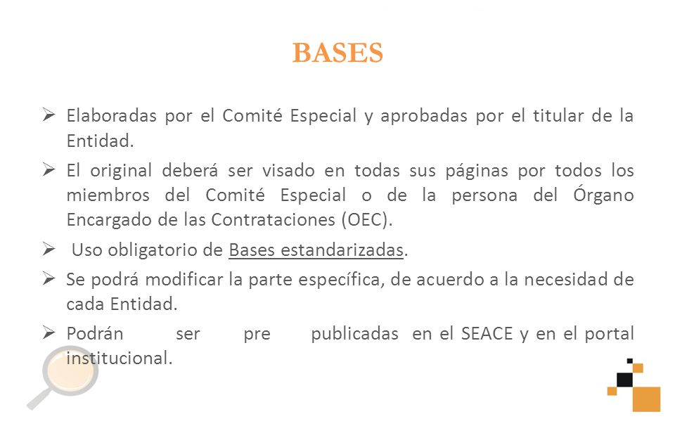 BASES Elaboradas por el Comité Especial y aprobadas por el titular de la Entidad.
