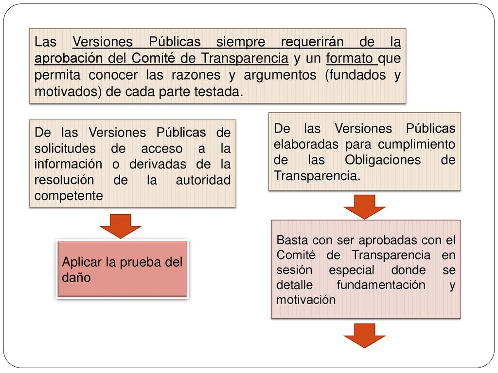 Las Versiones Públicas siempre requerirán de la aprobación del Comité de Transparencia y un formato que permita conocer las razones y argumentos (fundados y motivados) de cada parte testada.