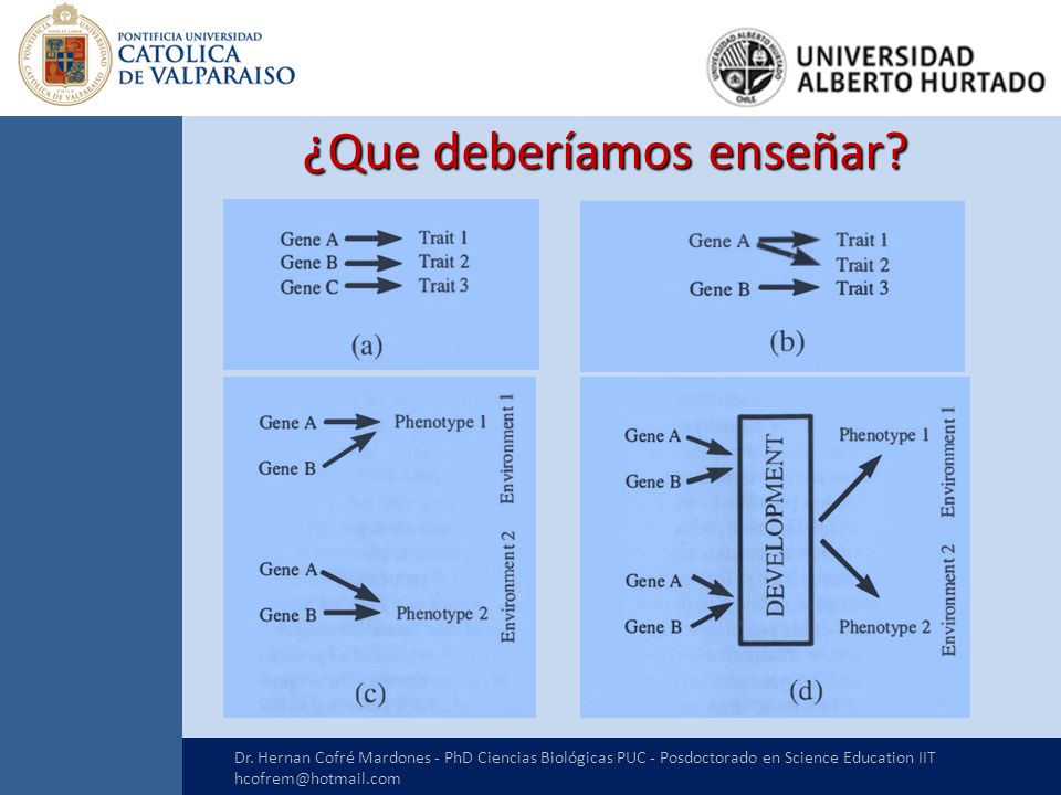 ¿Que deberíamos enseñar