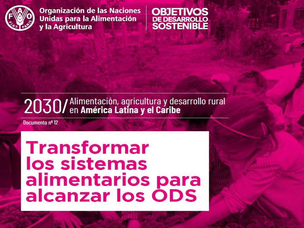 Transformación rural Pensando el futuro de América Latina y el Caribe