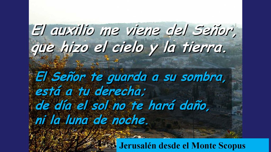 El auxilio me viene del Señor, que hizo el cielo y la tierra.