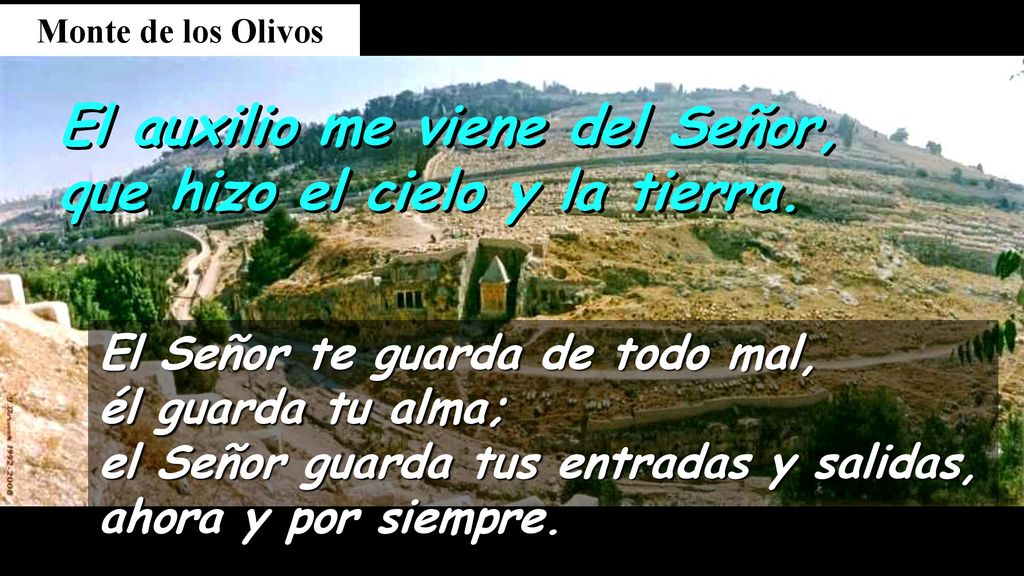 El auxilio me viene del Señor, que hizo el cielo y la tierra.