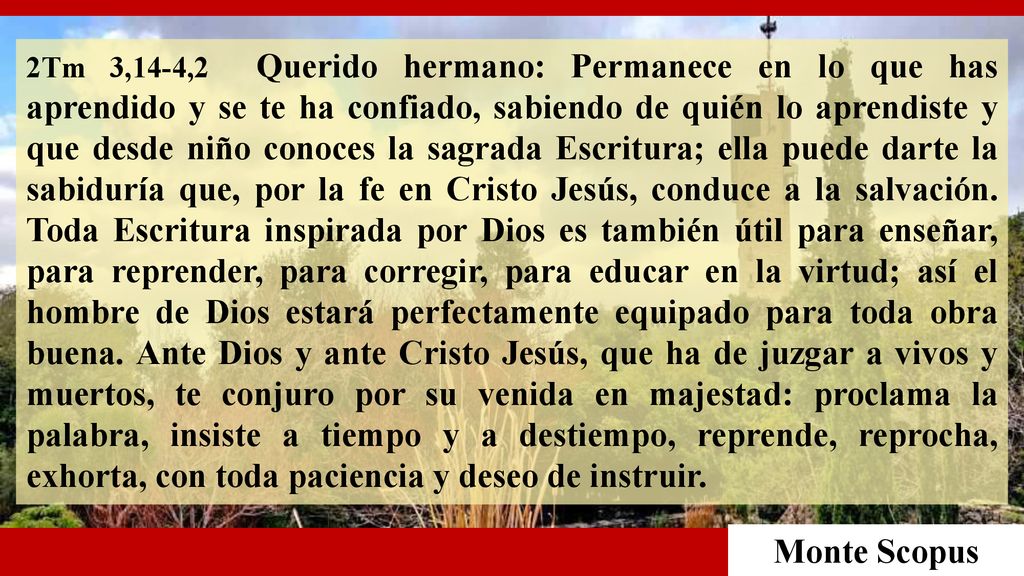 2Tm 3,14-4,2 Querido hermano: Permanece en lo que has aprendido y se te ha confiado, sabiendo de quién lo aprendiste y que desde niño conoces la sagrada Escritura; ella puede darte la sabiduría que, por la fe en Cristo Jesús, conduce a la salvación. Toda Escritura inspirada por Dios es también útil para enseñar, para reprender, para corregir, para educar en la virtud; así el hombre de Dios estará perfectamente equipado para toda obra buena. Ante Dios y ante Cristo Jesús, que ha de juzgar a vivos y muertos, te conjuro por su venida en majestad: proclama la palabra, insiste a tiempo y a destiempo, reprende, reprocha, exhorta, con toda paciencia y deseo de instruir.
