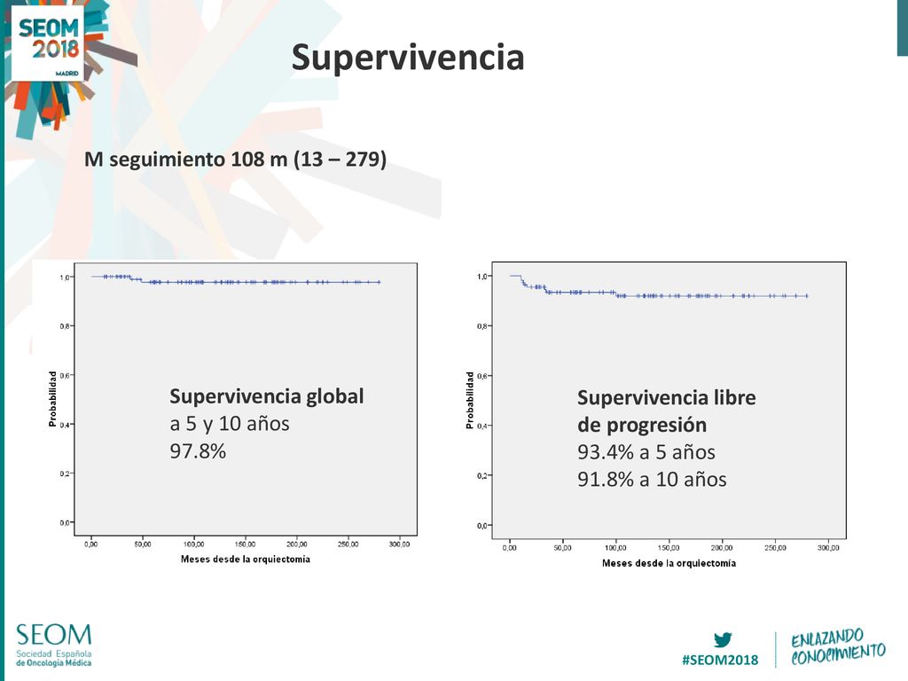 Supervivencia M seguimiento 108 m (13 – 279) Supervivencia global