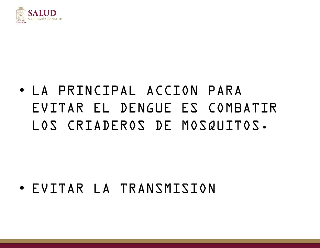 LA PRINCIPAL ACCION PARA EVITAR EL DENGUE ES COMBATIR LOS CRIADEROS DE MOSQUITOS.