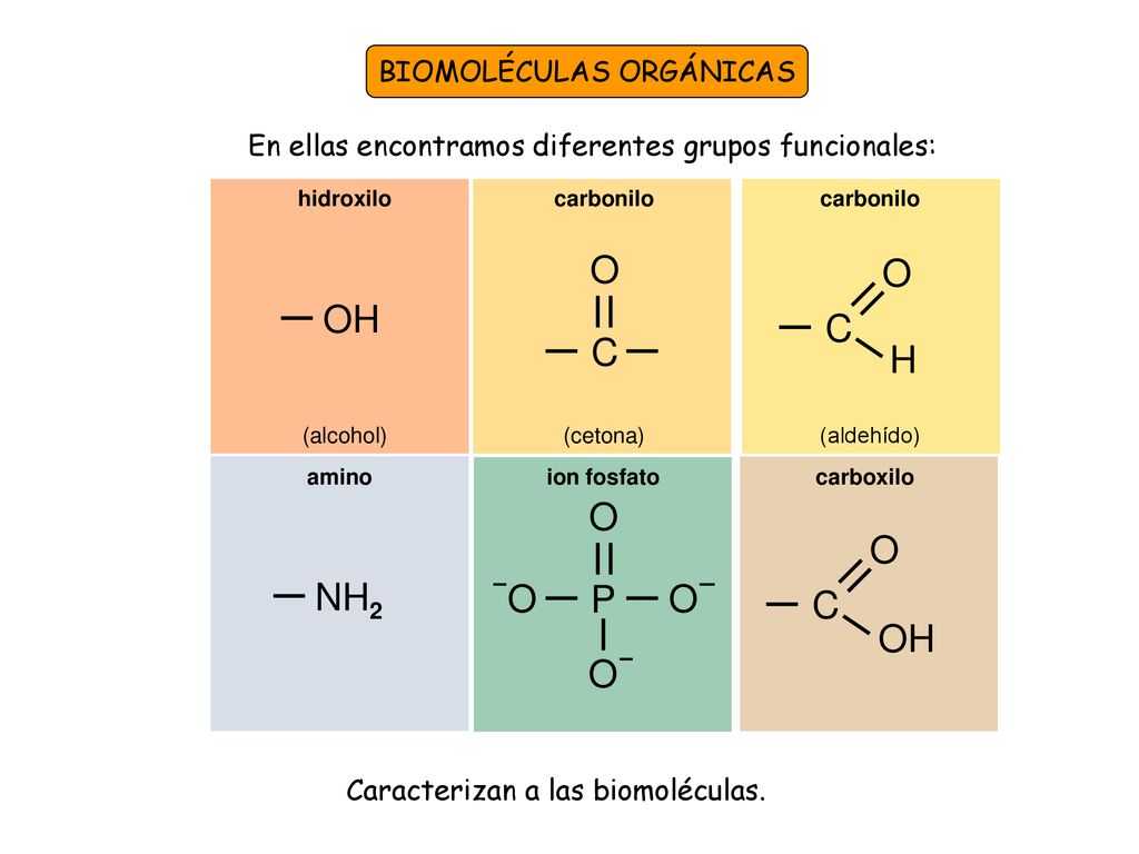 O O OH C C H O O NH2 P C OH BIOMOLÉCULAS ORGÁNICAS
