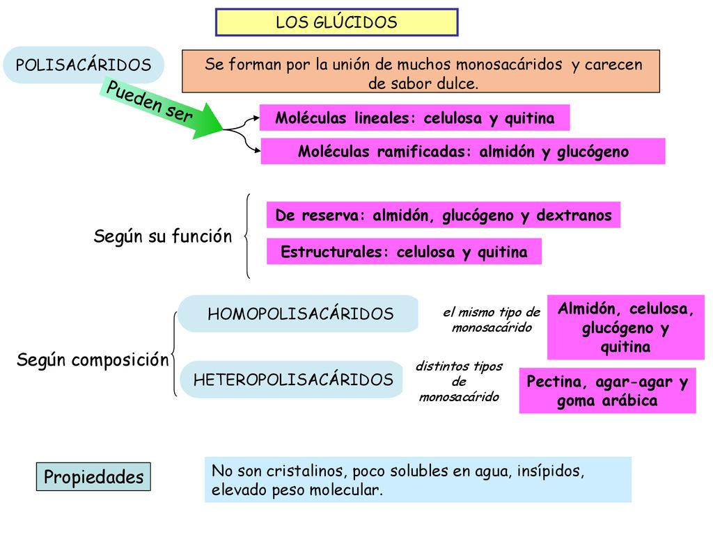 Pueden ser Según su función Según composición Propiedades LOS GLÚCIDOS